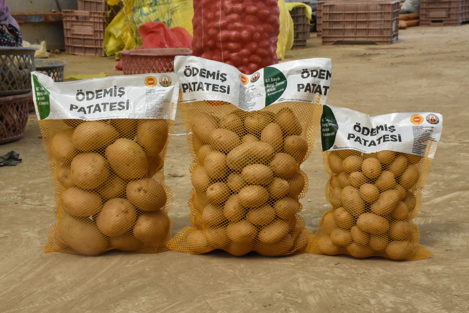 Ödemiş’ten hasat edilen altın rengi patatesler market raflarını süslüyor