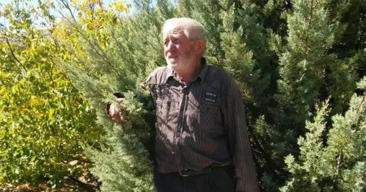 Orman Dede’nin kızı Tuğçe Demirbaş Çelikten: ‘Ağaçlarını çocuklarından asla ayırmazdı’ 
