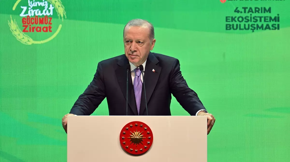 Cumhurbaşkanı Erdoğan: Şaibeyle yatıp butlanla kalkıyorlar