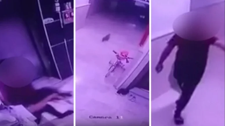 Yer Konya... Hamile kediyi önce kameralara gösterdi ardından yere fırlattı