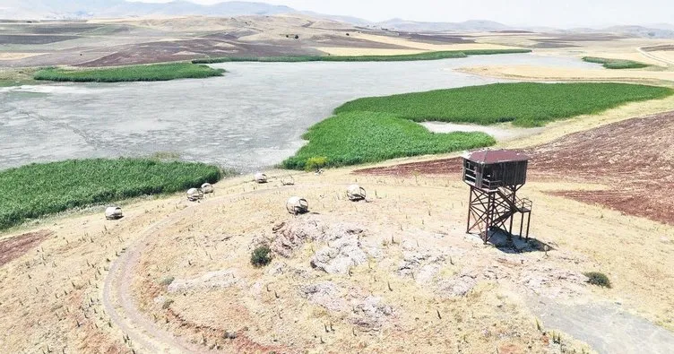 Konya'da  göçmen kuşlara ev sahipliği yapan 4 göl kurudu