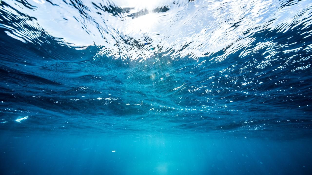 Dünya Meteoroloji Örgütü: Dünyanın su kaynakları giderek artan bir baskı altında