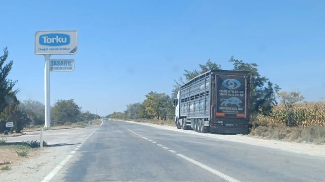 Konya Şeker’de Skandal Üstüne Skandal: Hayvancılık da mı Sizin İşiniz Değil?