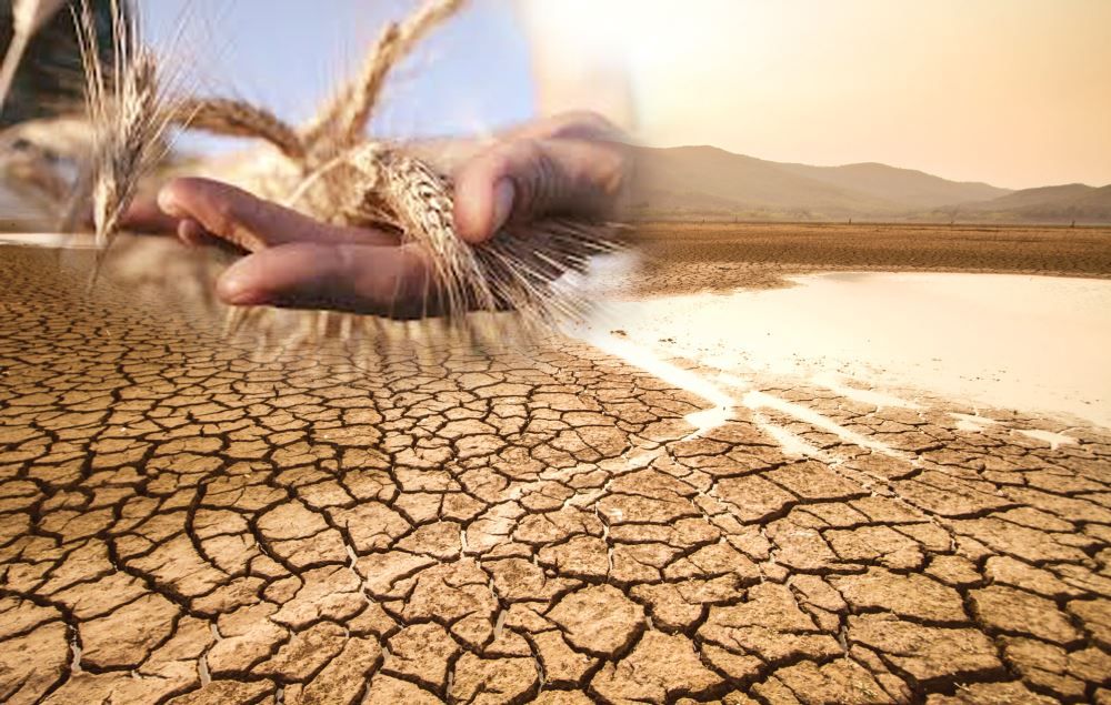 Konya’nın 1873 yılında felaketi yaşadığını biliyor muydunuz? Sebebi çok şaşırtacak!