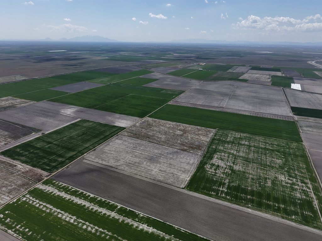 Konya Ovası'nda yağışlarla hububatta 500 bin ton rekolte artışı bekleniyor