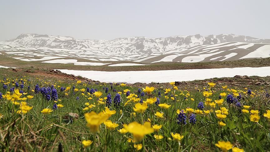Çok az kişi biliyor! Konya’daki bu göl "rekor" özelliğiyle şaşırtıyor