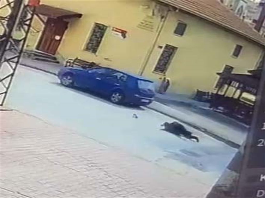 Konya'da Camiye giderken otomobilin çarptığı yaya yaralandı