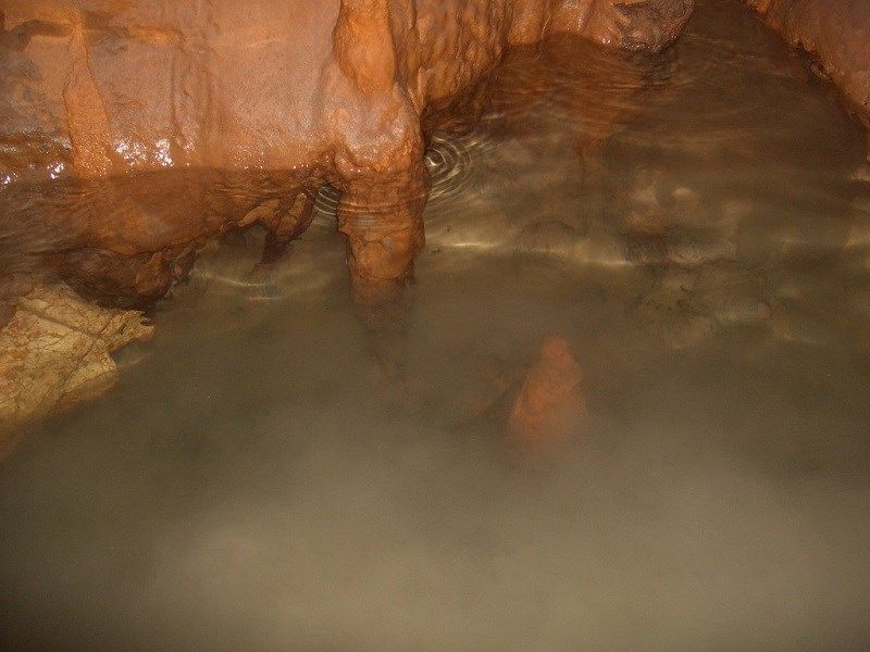 Konya’da tüyler ürperten yer: Buraya çocukar mı atılıyor?