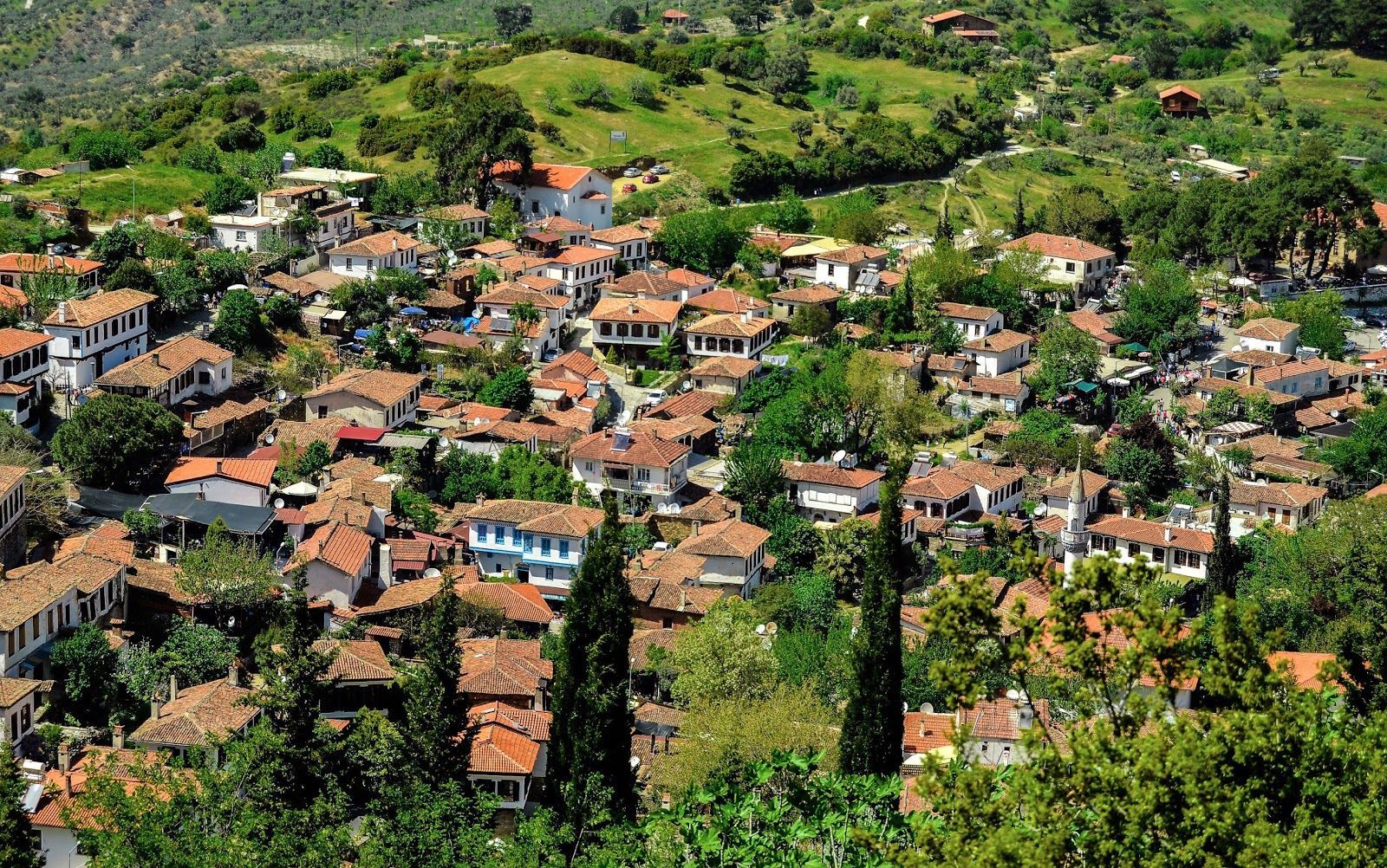 Hepsi Konya’da yer alıyor: Kimisi şaşırtıyor kimisi güldürüyor!