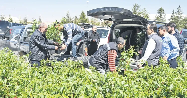 Konya’da 31.420 fidan toprakla buluştu