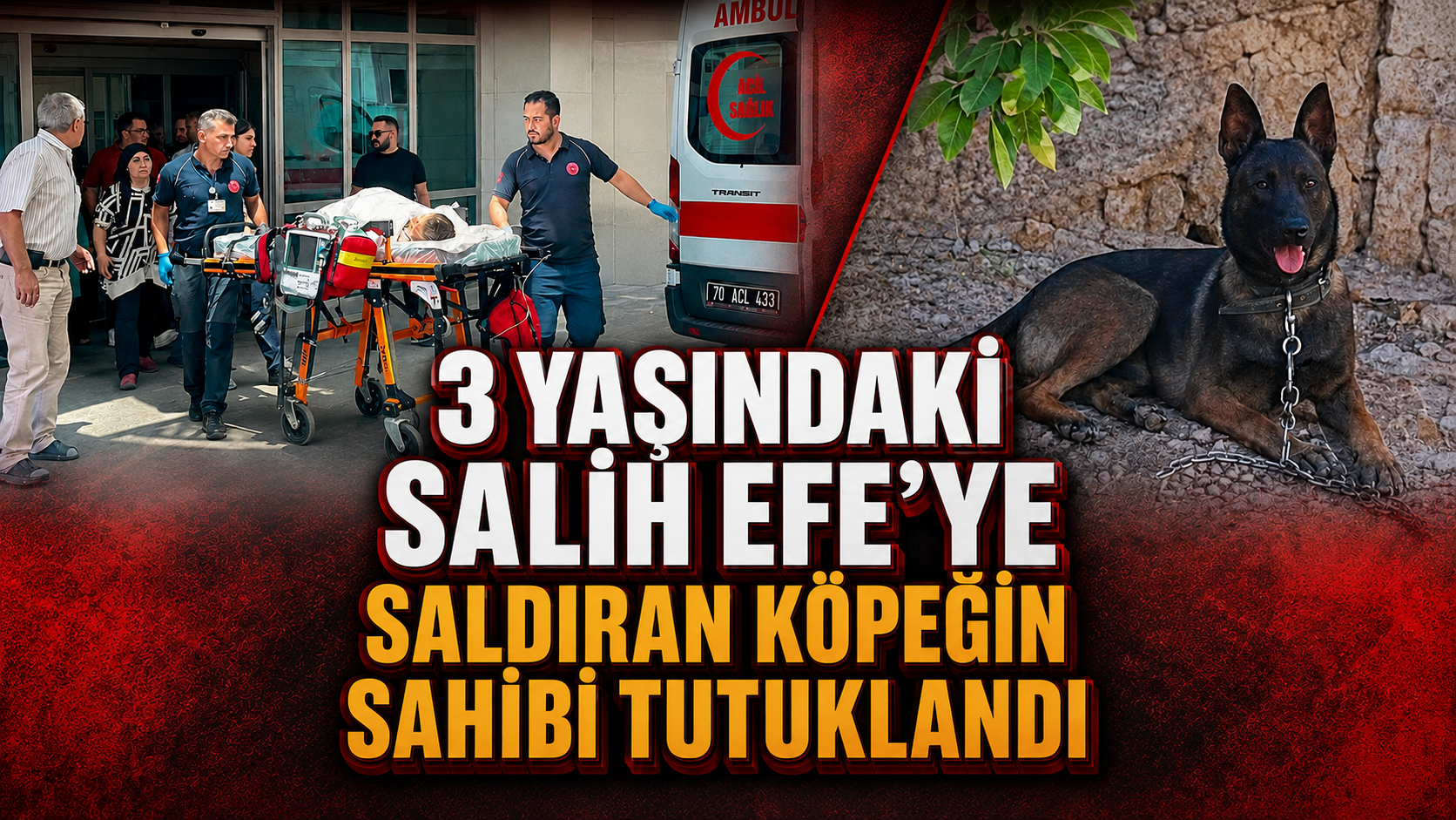 3 yaşındaki Salih Efe’ye saldıran köpeğin sahibi tutuklandı