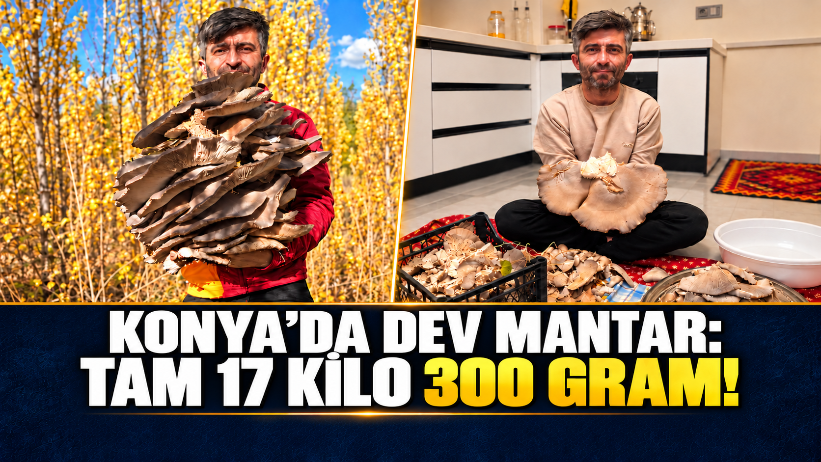 Konya’da görenleri şaşırtan dev mantar: Tam 17 kilo 300 gram!